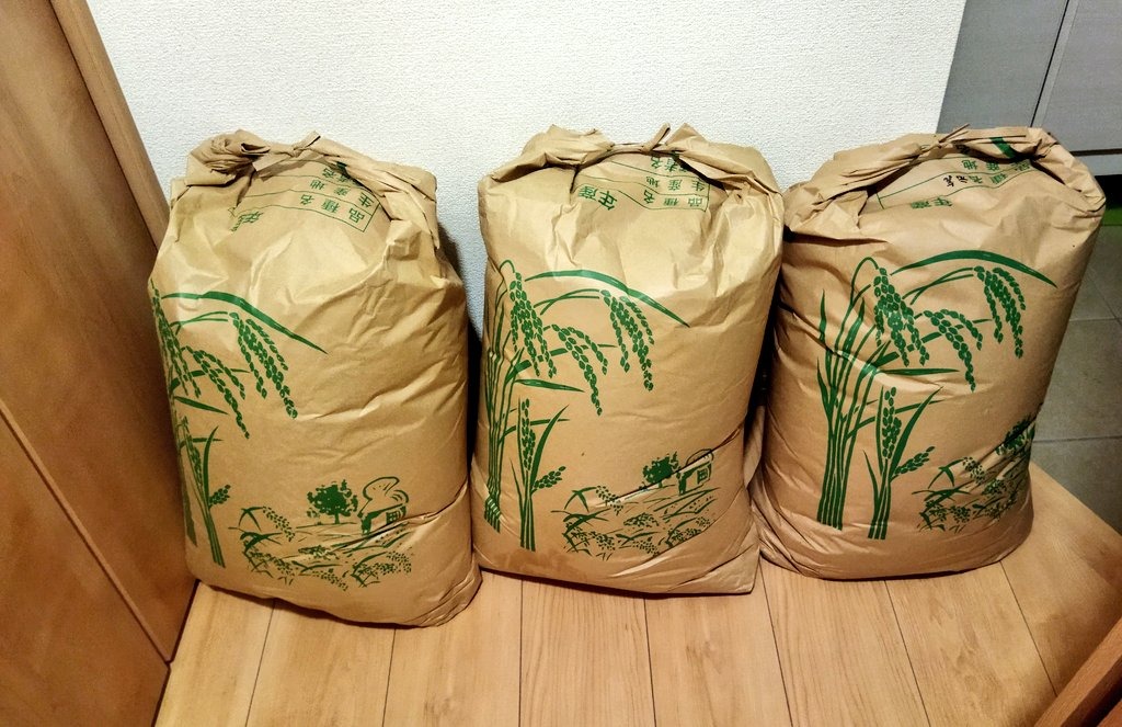 玄米 安い どこで買える