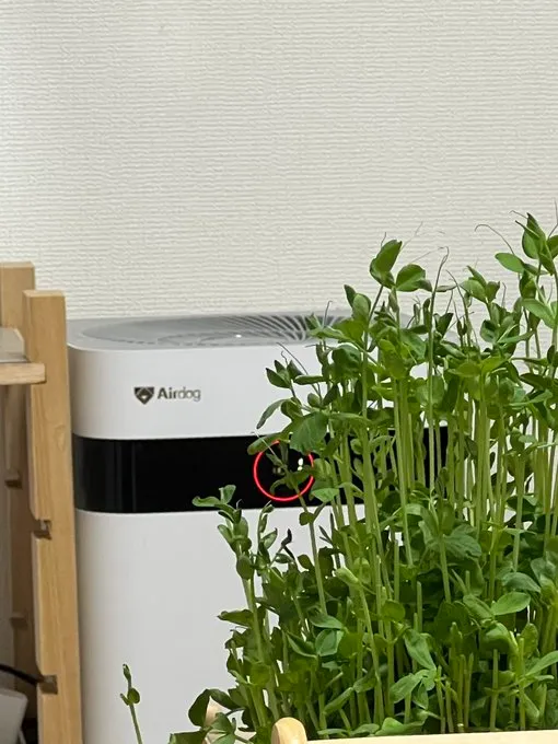 オンラインストアでの購入方法