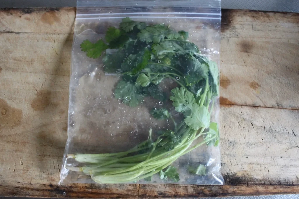 カルディでパクチーは売ってる？輸入食品店の取り扱い