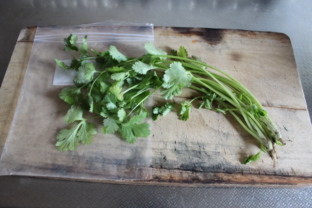 パクチーはスーパーで買える？大手チェーンの取り扱い状況