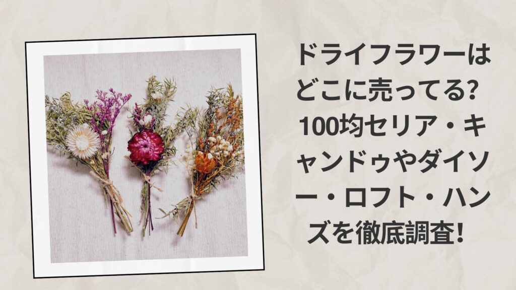 ドライフラワーはどこに売ってる