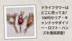 ドライフラワーはどこに売ってる