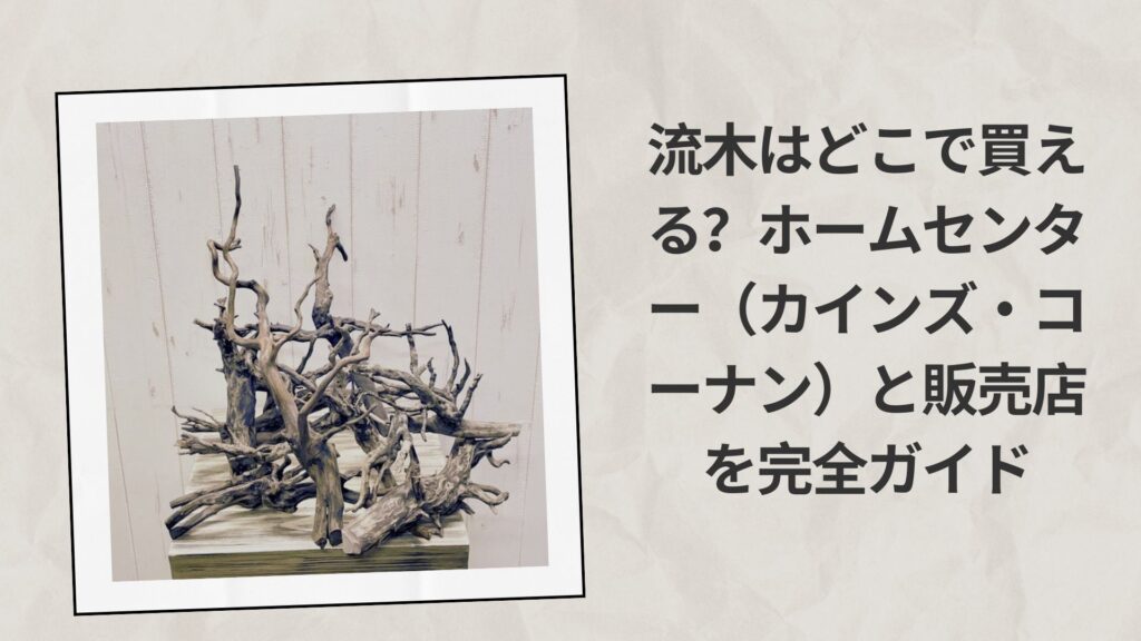流木はどこで買える？ホームセンター（カインズ・コーナン）と販売店を完全ガイド