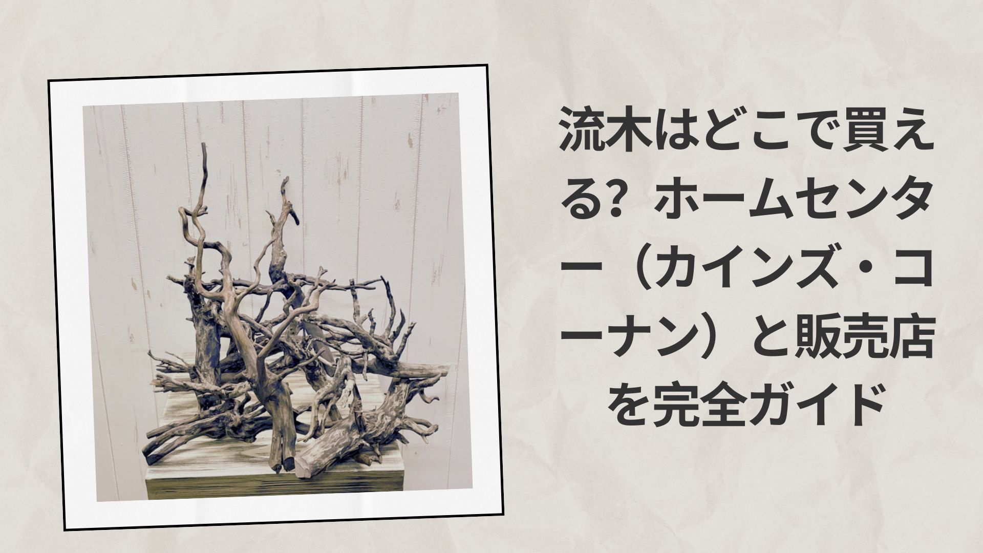 流木はどこで買える？ホームセンター（カインズ・コーナン）と販売店を完全ガイド