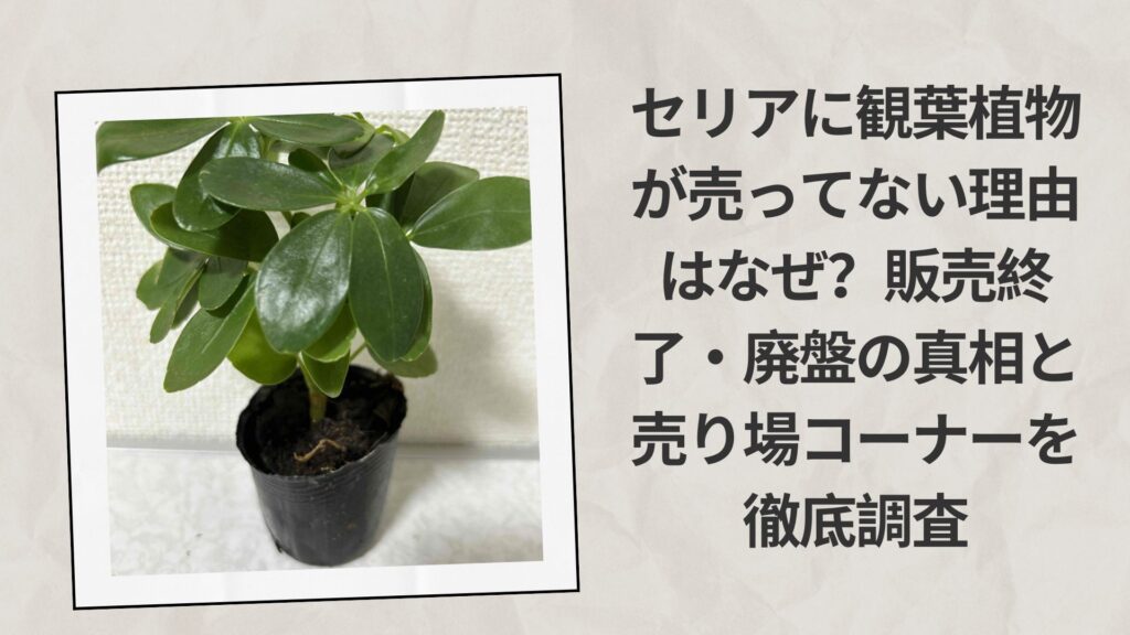 セリアに観葉植物が売ってない理由はなぜ？販売終了