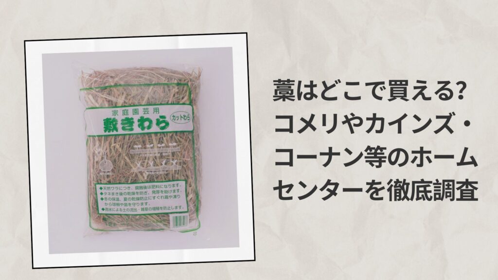 藁はどこで買える