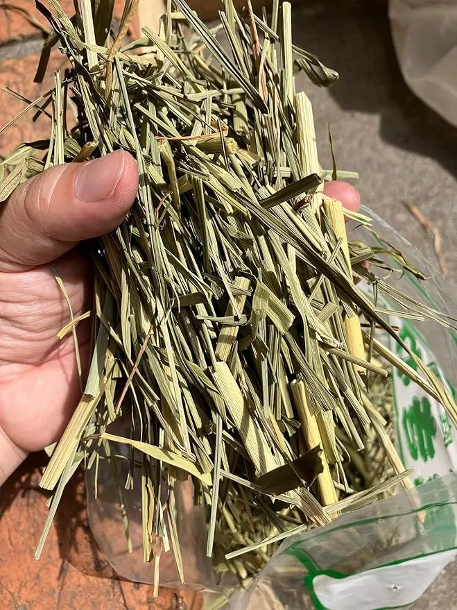 ストローカインズ